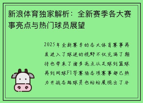 新浪体育独家解析：全新赛季各大赛事亮点与热门球员展望