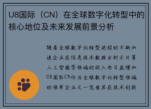 U8国际（CN）在全球数字化转型中的核心地位及未来发展前景分析